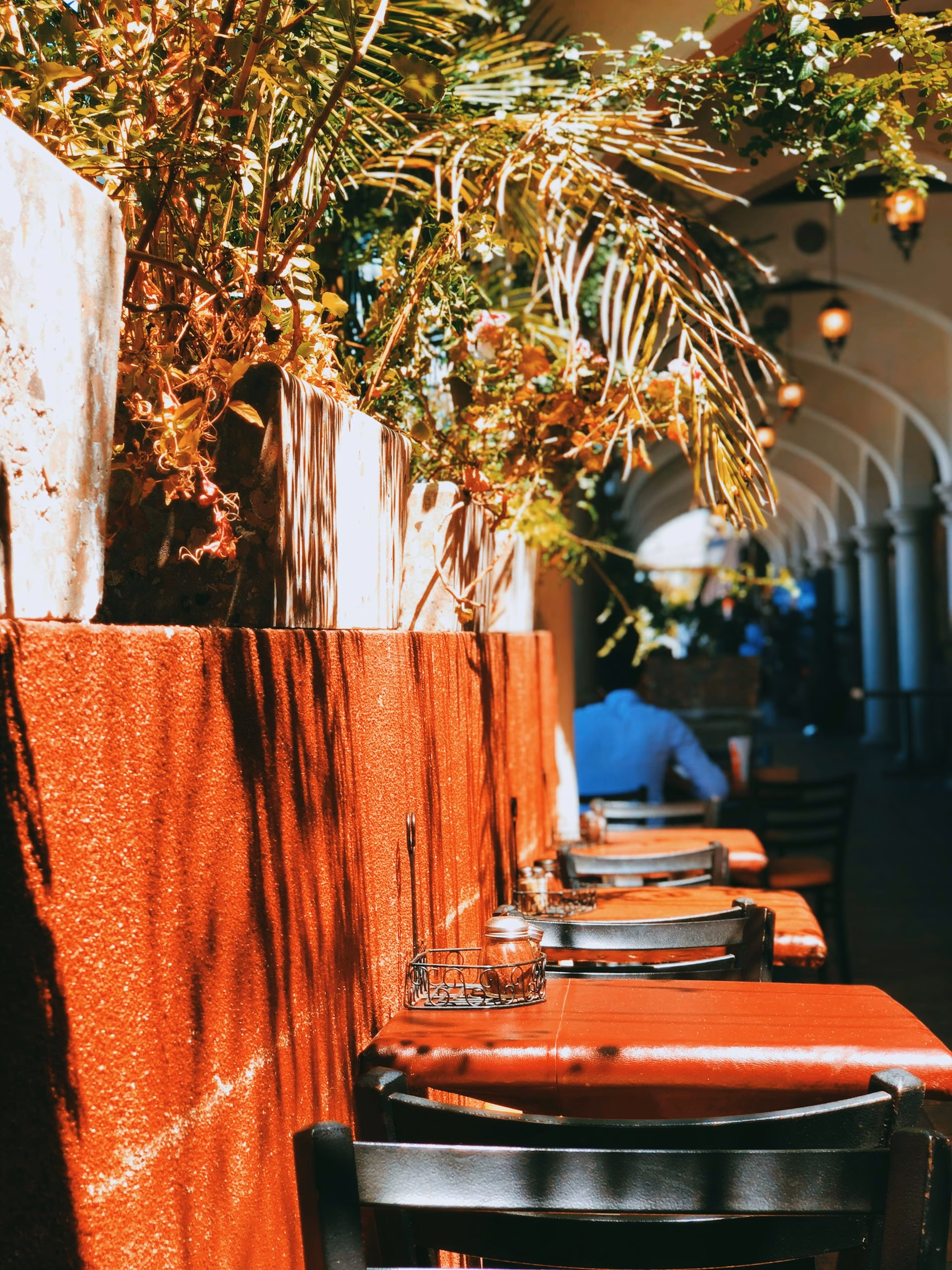 Santa Barbara Dining